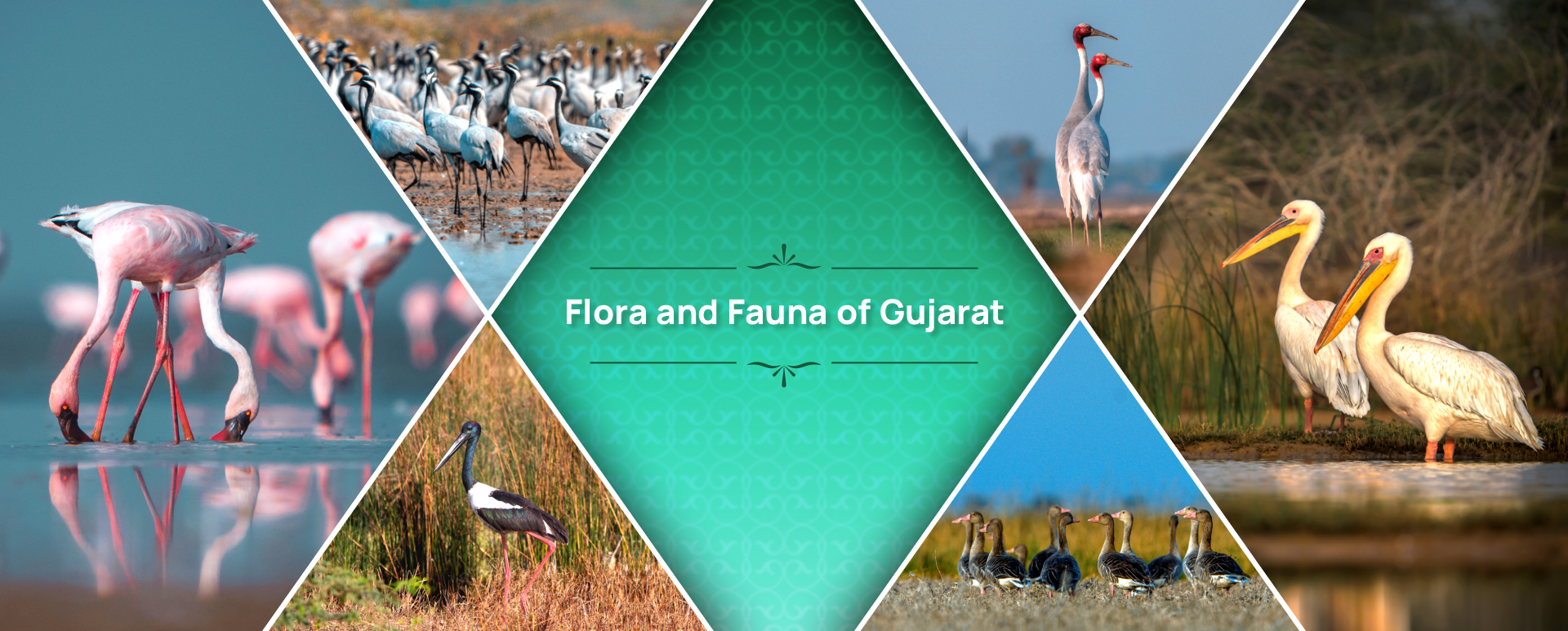 cottage_banner_4